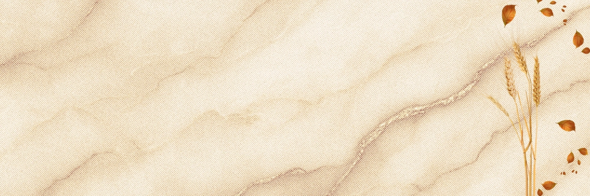 Fondo Banner Bikurim